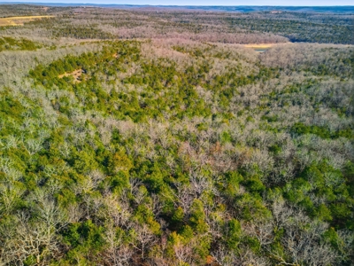 Contemporary Custom Built Lake Home - image 16