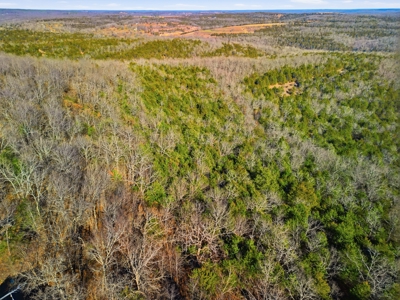 Contemporary Custom Built Lake Home - image 19