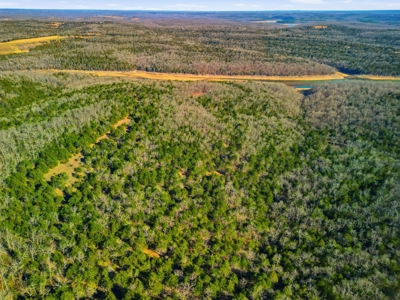 Contemporary Custom Built Lake Home - image 17