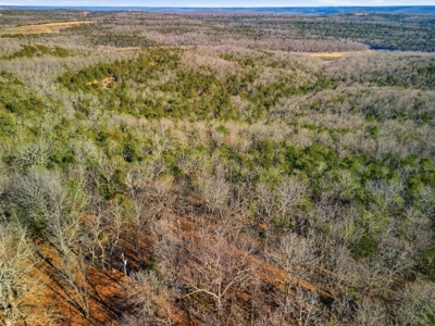 Contemporary Custom Built Lake Home - image 15