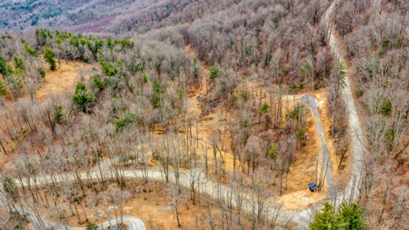 Looking for Mountain Views near the Blue Ridge Parkway? - image 8