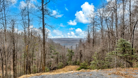 Looking for Mountain Views near the Blue Ridge Parkway? - image 16
