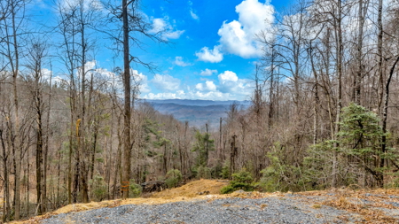 Looking for Mountain Views near the Blue Ridge Parkway? - image 17