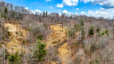 Looking for Mountain Views near the Blue Ridge Parkway? - image 6