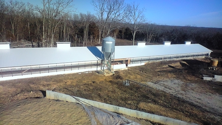 Cattle Farm for Sale in Polk, County Missouri - image 34