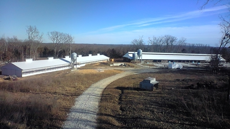 Cattle Farm for Sale in Polk, County Missouri - image 33