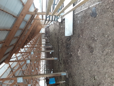 Cattle Farm for Sale in Polk, County Missouri - image 39