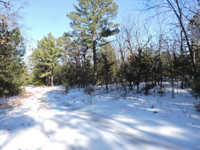 166 acres TIMBER/HUNTING RETREAT in Scott County - image 5