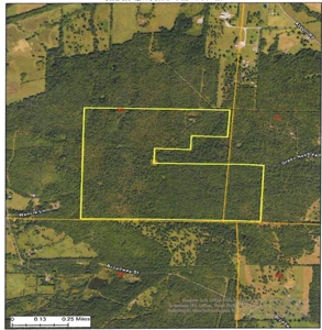 166 acres TIMBER/HUNTING RETREAT in Scott County - image 1