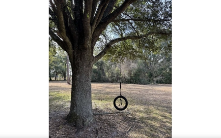 A 2005 Modular Home On 10 Acres In McAlpin, Florida - image 36
