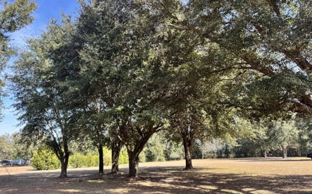 A 2005 Modular Home On 10 Acres In McAlpin, Florida - image 42