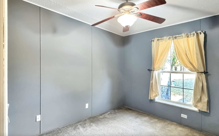 A 2005 Modular Home On 10 Acres In McAlpin, Florida - image 23