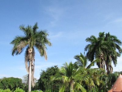 Luxury Estate with Resort-Style Amenities in Coronado, Panama - image 11