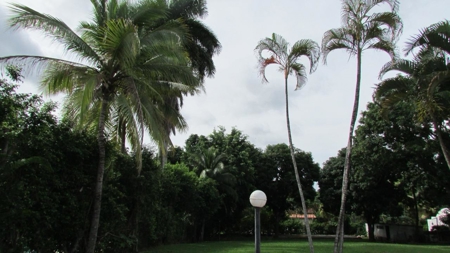 Luxury Estate with Resort-Style Amenities in Coronado, Panama - image 17