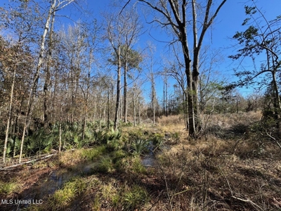 255 Acres East Baton Rouge Parish Near Zachary, LA - image 38
