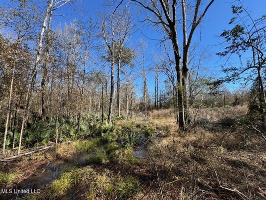 255 Acres East Baton Rouge Parish Near Zachary, LA