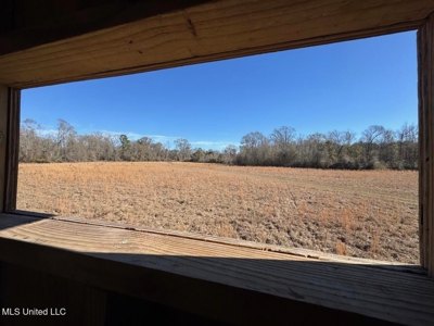 255 Acres East Baton Rouge Parish Near Zachary, LA - image 26