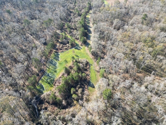 255 Acres East Baton Rouge Parish Near Zachary, LA
