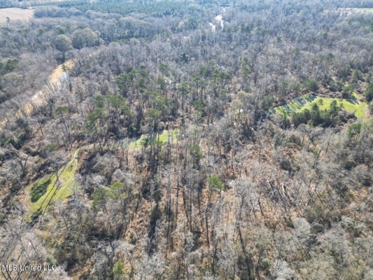 255 Acres East Baton Rouge Parish Near Zachary, LA