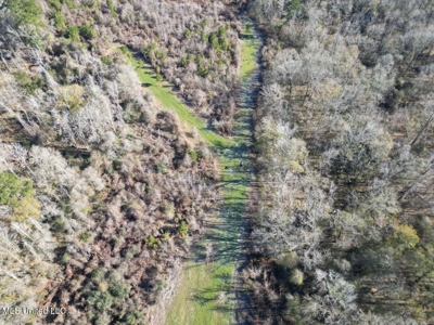 255 Acres East Baton Rouge Parish Near Zachary, LA - image 7