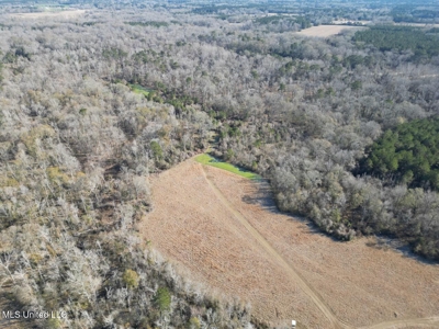 255 Acres East Baton Rouge Parish Near Zachary, LA - image 4