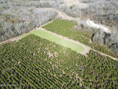 255 Acres East Baton Rouge Parish Near Zachary, LA - image 19