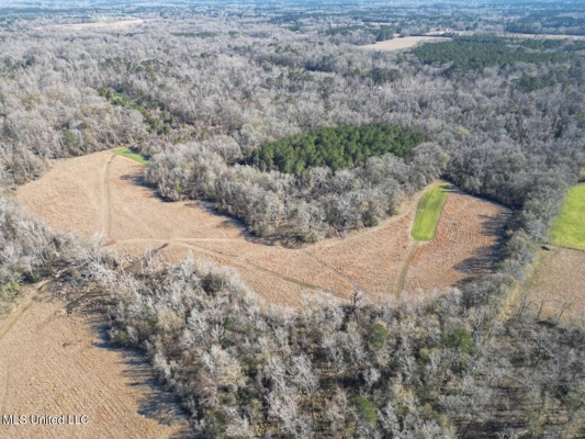 255 Acres East Baton Rouge Parish Near Zachary, LA