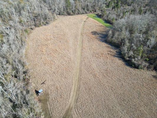 255 Acres East Baton Rouge Parish Near Zachary, LA
