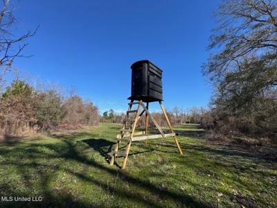 255 Acres East Baton Rouge Parish Near Zachary, LA - image 34