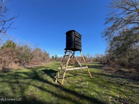 255 Acres East Baton Rouge Parish Near Zachary, LA