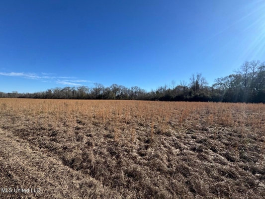 255 Acres East Baton Rouge Parish Near Zachary, LA