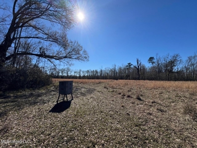 255 Acres East Baton Rouge Parish Near Zachary, LA - image 39