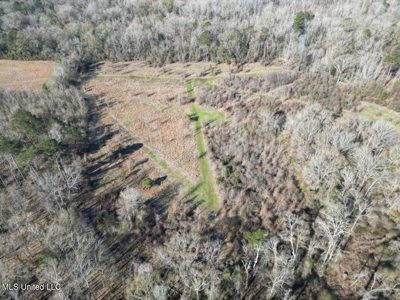 255 Acres East Baton Rouge Parish Near Zachary, LA - image 6