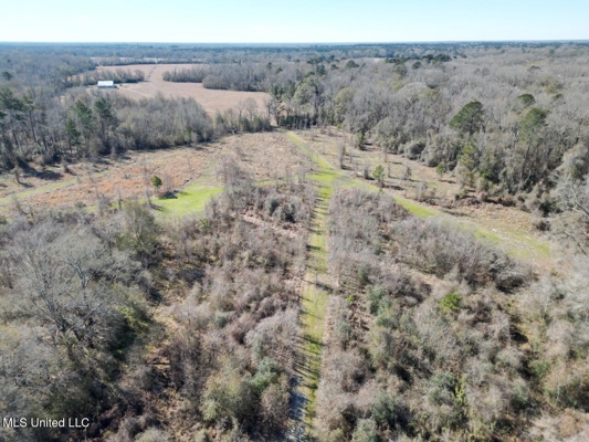 255 Acres East Baton Rouge Parish Near Zachary, LA