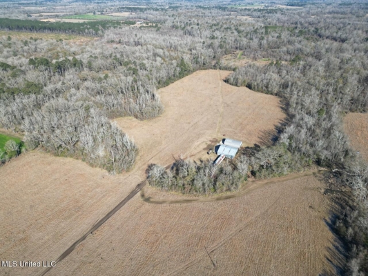 255 Acres East Baton Rouge Parish Near Zachary, LA