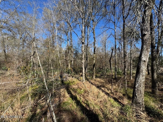 255 Acres East Baton Rouge Parish Near Zachary, LA