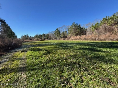 255 Acres East Baton Rouge Parish Near Zachary, LA - image 29
