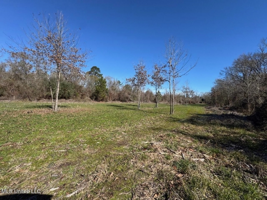 255 Acres East Baton Rouge Parish Near Zachary, LA