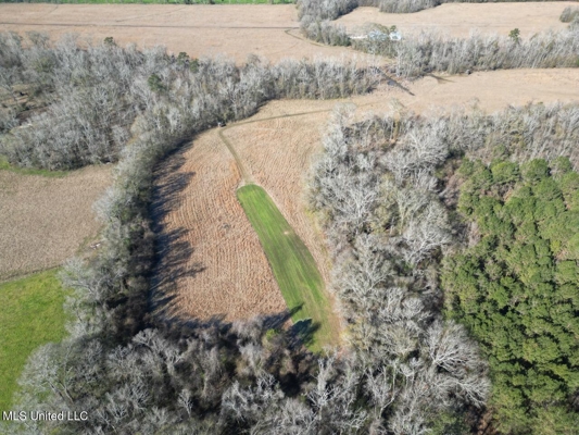 255 Acres East Baton Rouge Parish Near Zachary, LA