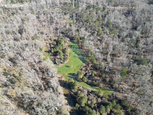 255 Acres East Baton Rouge Parish Near Zachary, LA