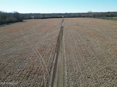 255 Acres East Baton Rouge Parish Near Zachary, LA - image 14