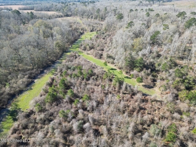255 Acres East Baton Rouge Parish Near Zachary, LA - image 18
