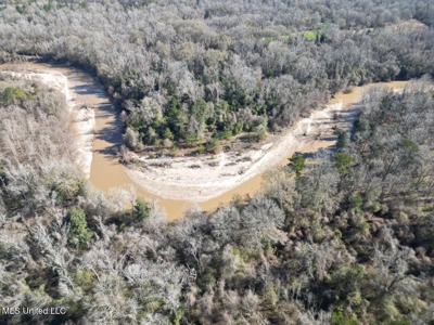 255 Acres East Baton Rouge Parish Near Zachary, LA - image 8