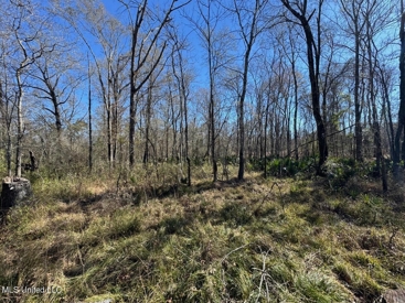 Listing 19