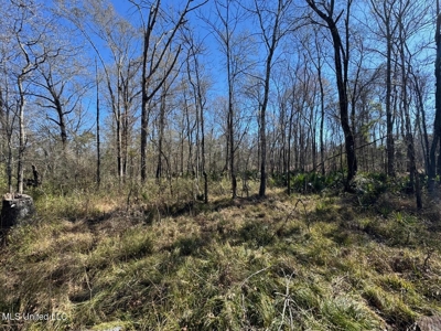 255 Acres East Baton Rouge Parish Near Zachary, LA - image 36