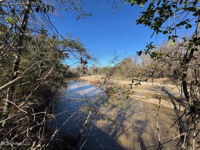255 Acres East Baton Rouge Parish Near Zachary, LA - image 30