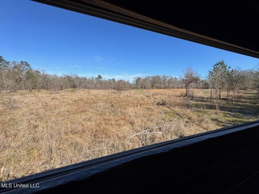 255 Acres East Baton Rouge Parish Near Zachary, LA
