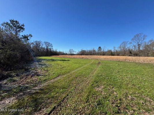 255 Acres East Baton Rouge Parish Near Zachary, LA