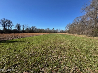 255 Acres East Baton Rouge Parish Near Zachary, LA - image 40