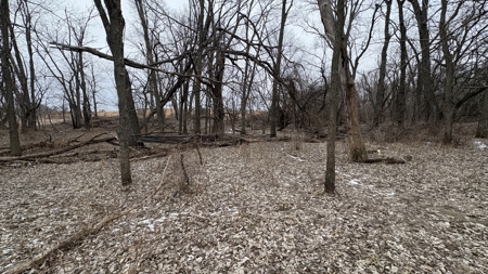 PLH Family Limited Partnership- TRACT 4 - image 16